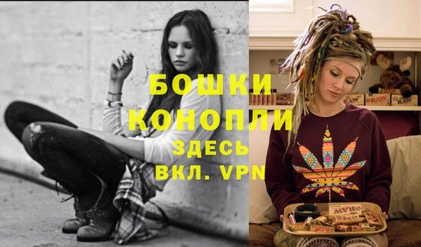 прущий лед Вязники