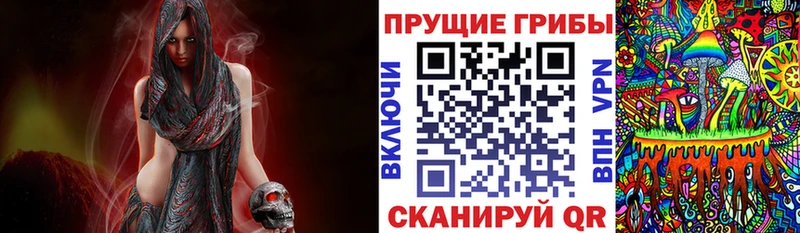 где продают   Уссурийск  мега   Галлюциногенные грибы Cubensis 